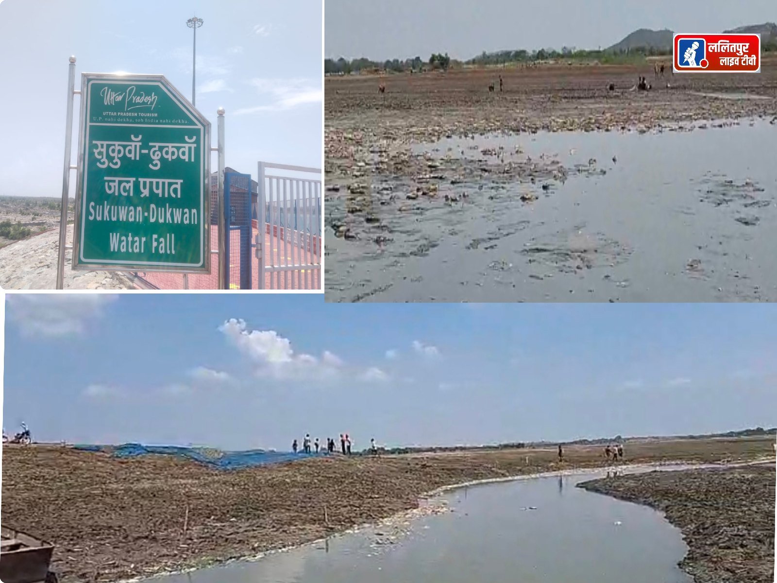 सुकवां ढुकवां बांध में केमिकल डालकर किया लाखों मछलियों का शिकार - जिससे लाखों की तादात में मर रही है मछलियां.
