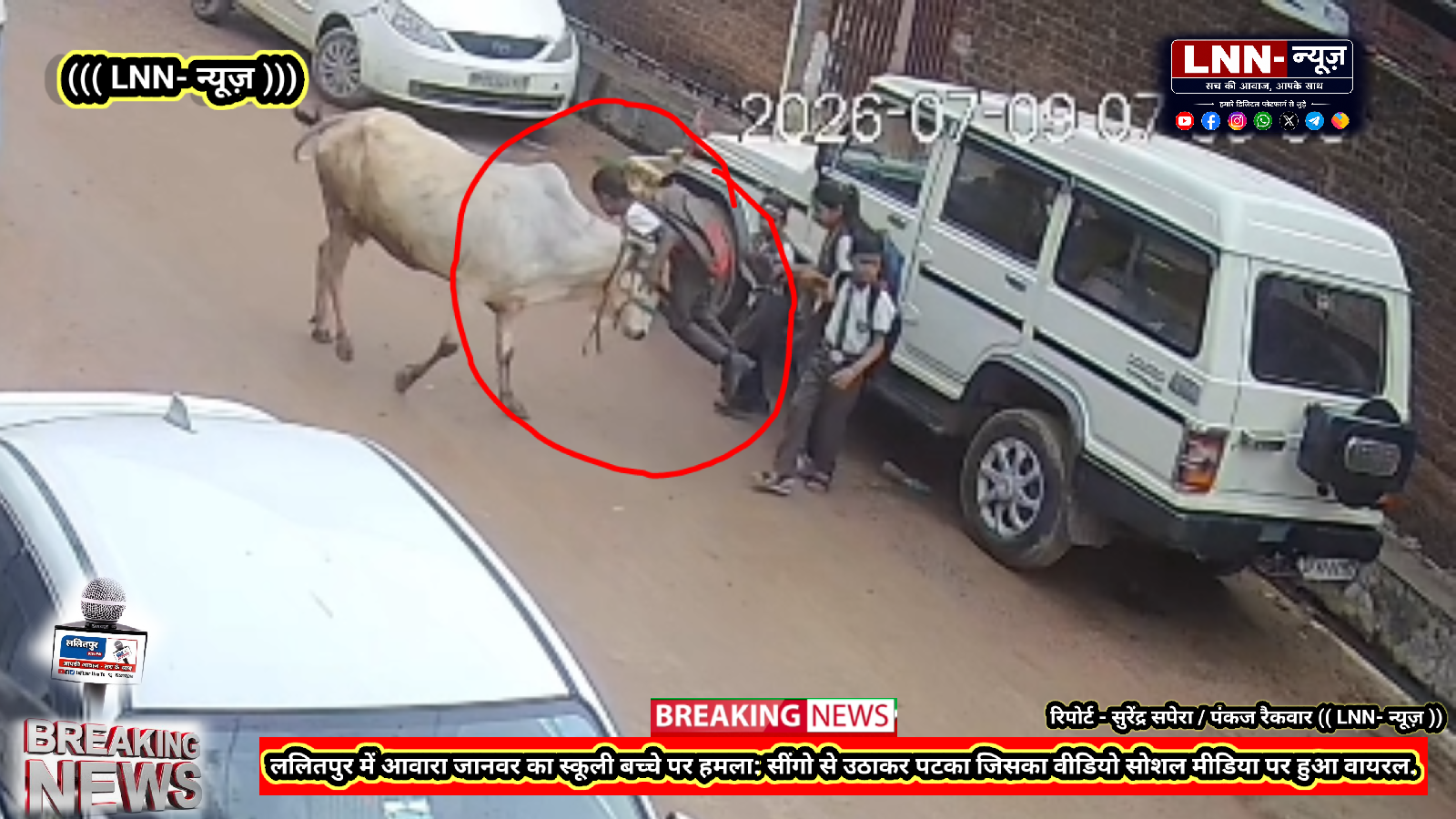 ललितपुर : स्कूल से लौट रहे बच्चे पर आवारा जानवर का हमला. आवारा जानवर ने बच्चे को सींगों से उछालकर पटका जिसका वीडियो सोशल मीडिया पर हो रहा है जमकर वायरल.
