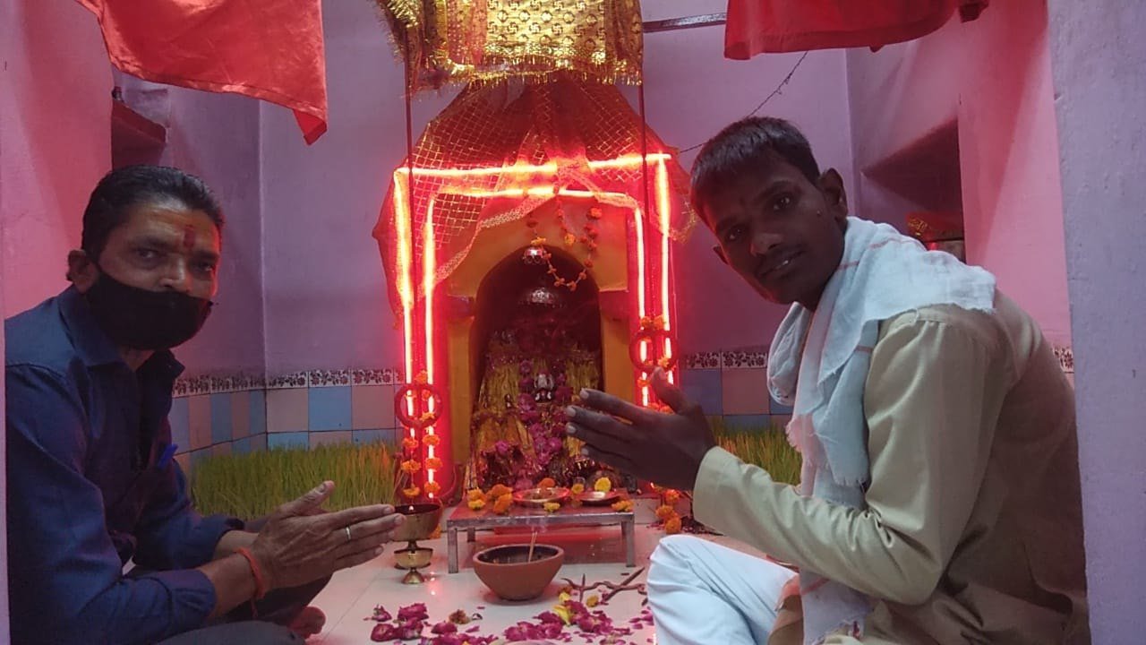 श्रावण माह में बीजासेन माता मंदिर में बोई गईं जवारे स्वरूप भुजरिया. - ललितपुर - LALITPUR LIVE TV