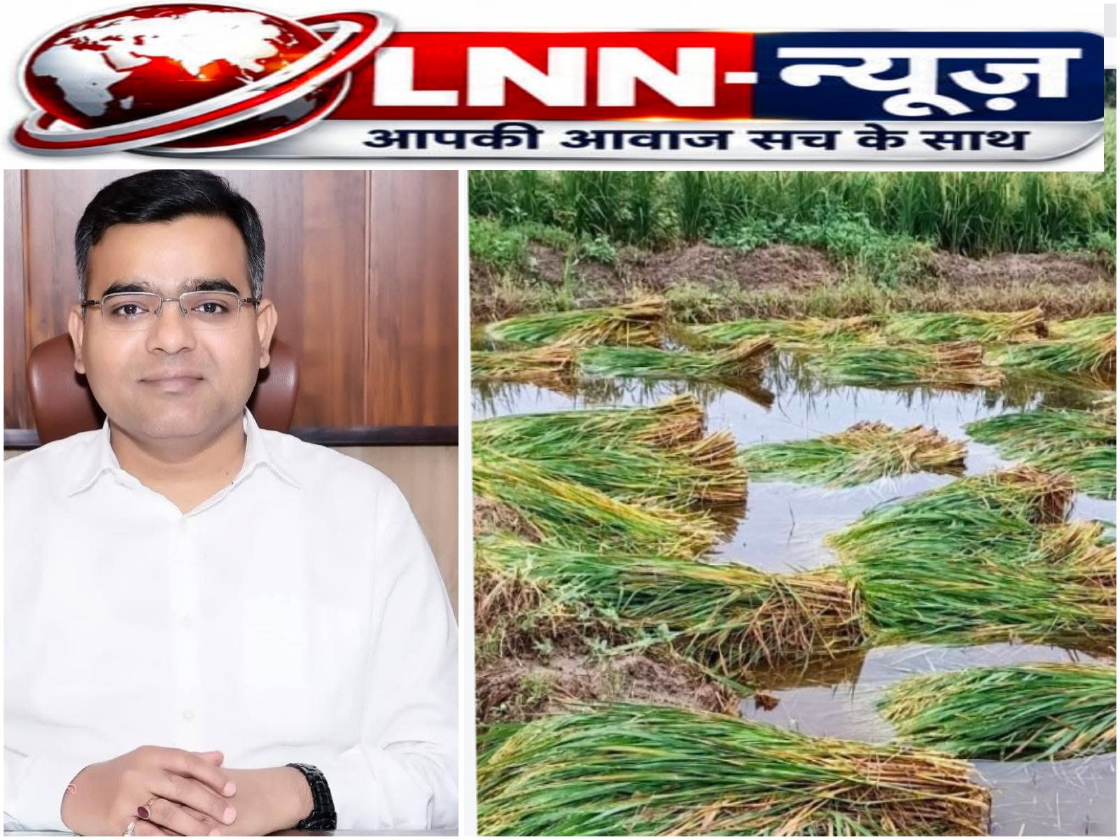 अतिवृष्टि से प्रभावित किसान फसल नुकसान के मुआवजे के लिए टोल-फ्री नंबर 14447 पर दर्ज कराएं शिकायत: जिलाधिकारी